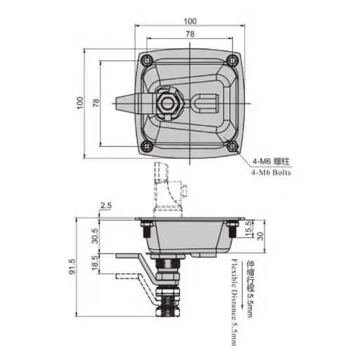 Flat handle designed paddle latch with lock cylinder