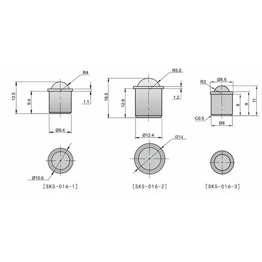 Figura de dimensiones de la captura SK5-016